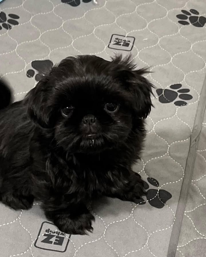 Gallery image 1 of Sally