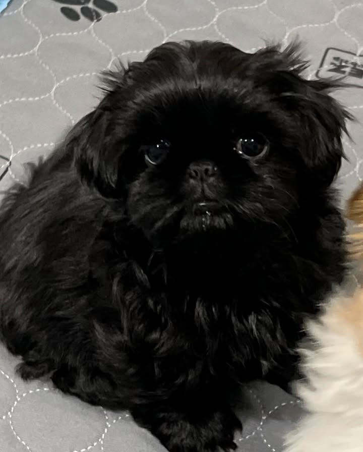 Gallery image 2 of Sally