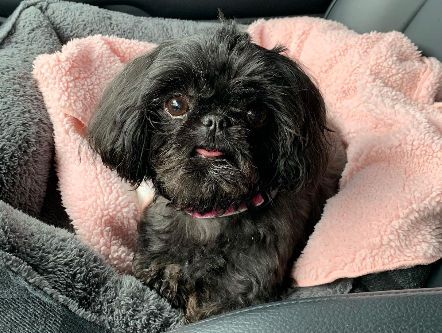 Gallery image 1 of Gabby