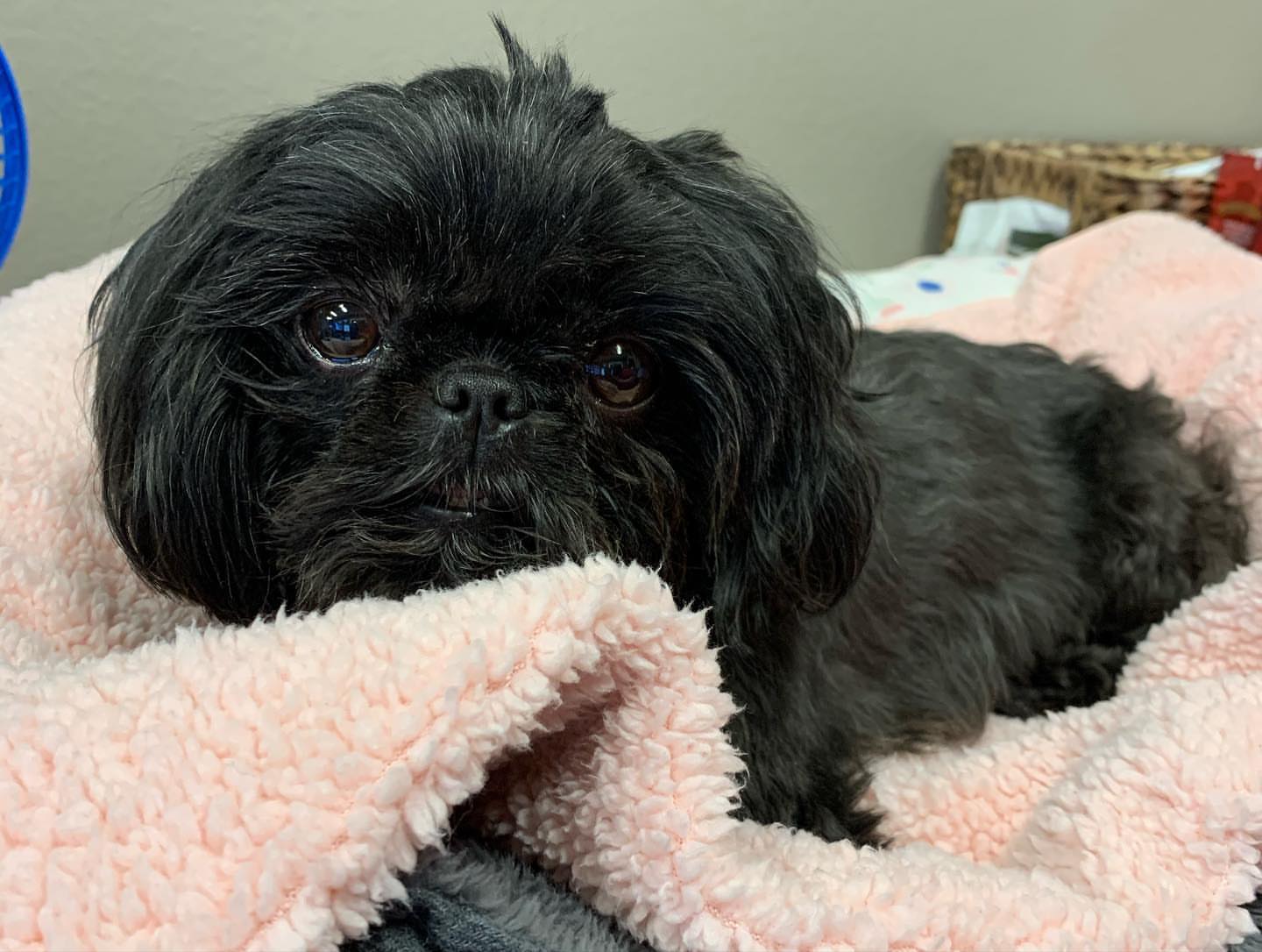 Gallery image 4 of Gabby