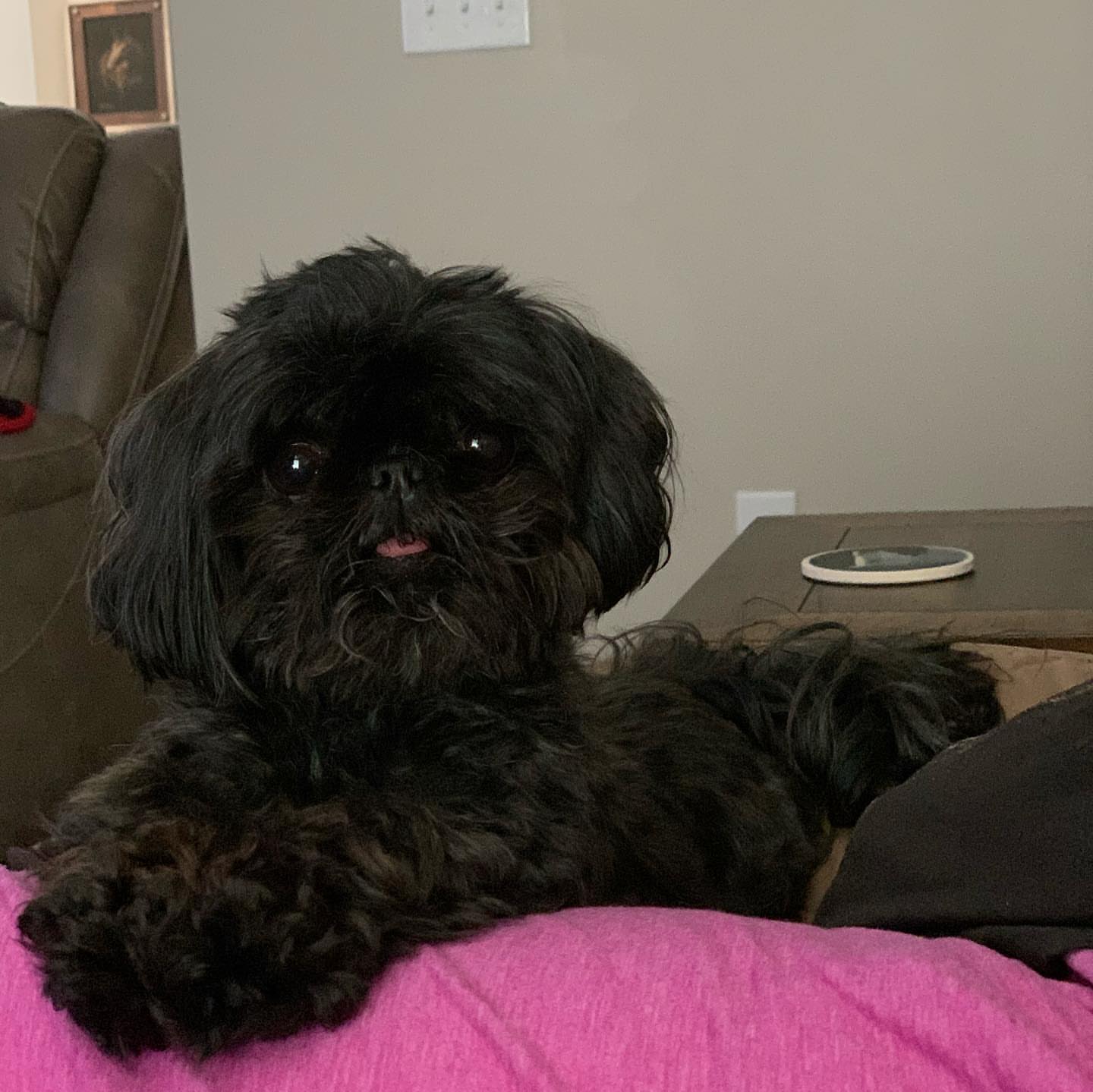 Gallery image 7 of Gabby