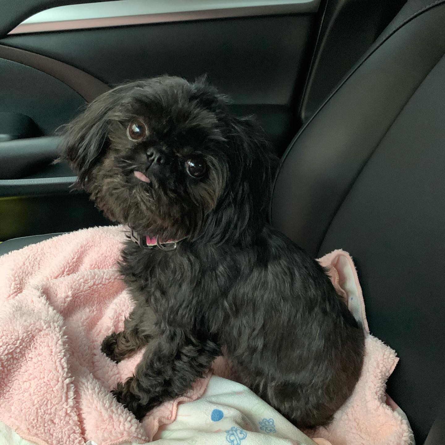 Gallery image 3 of Gabby